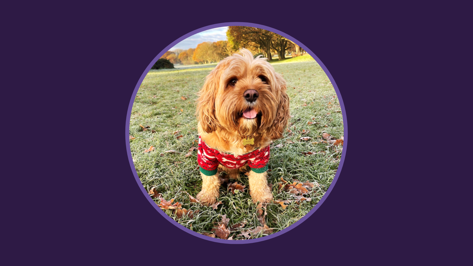 Toby considers planning for later life