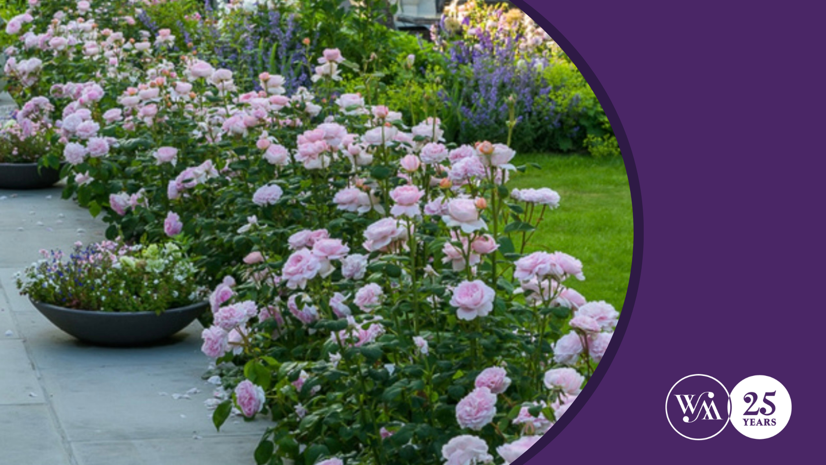 A garden in bloom: Katya Gilbert