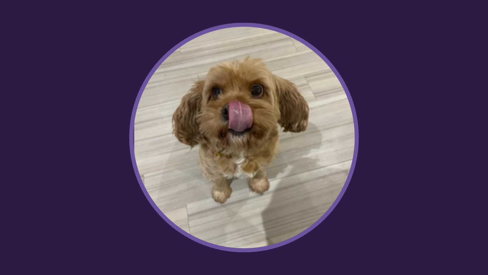 Dog Tales September 2023