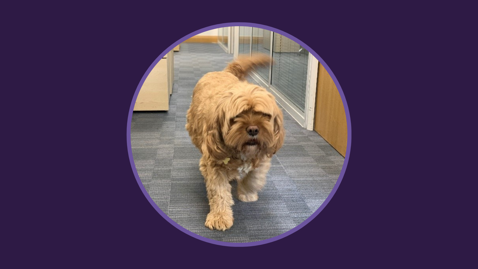 Dog Tales: March 2023