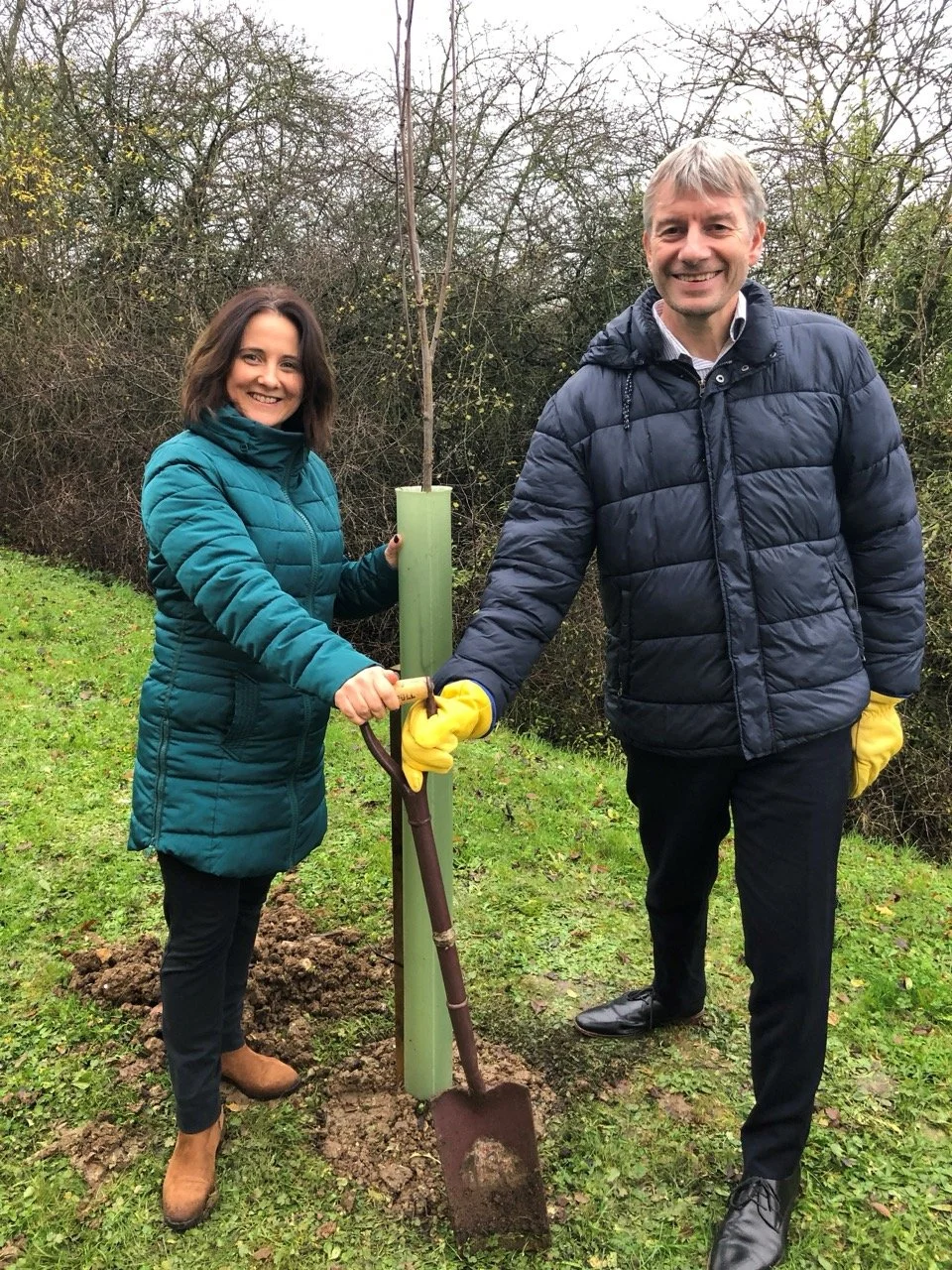 A woman and a man planting a young tree together outdoors on grass, both wearing winter jackets and yellow gloves, with a shovel in the ground.