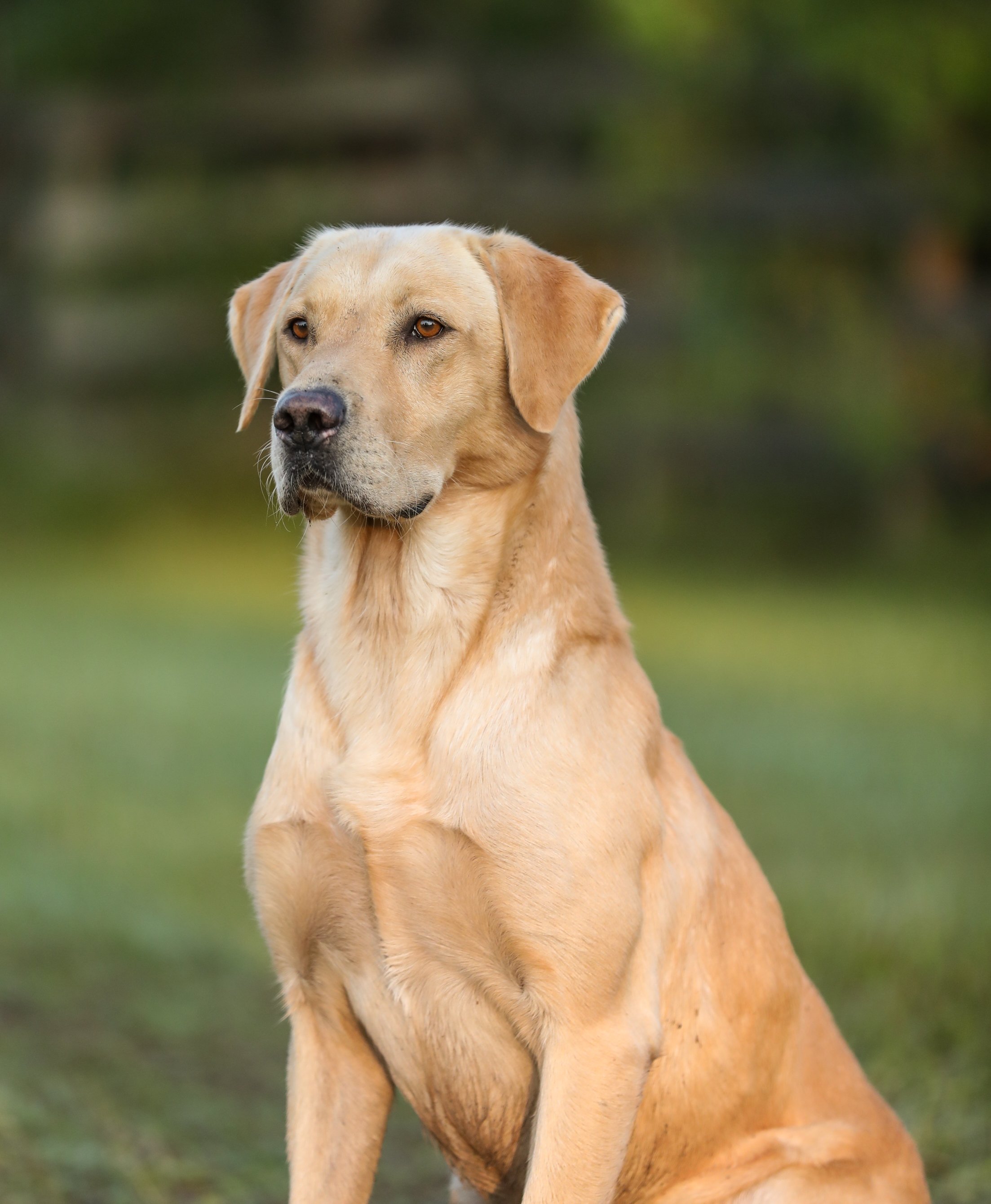 photo by Aaron Davis