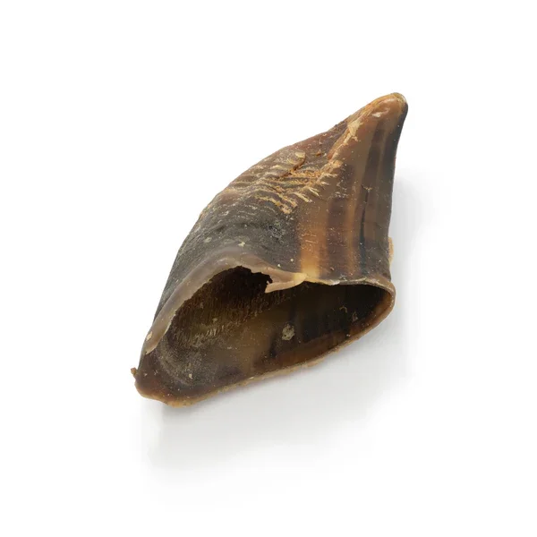 Beef Hooves