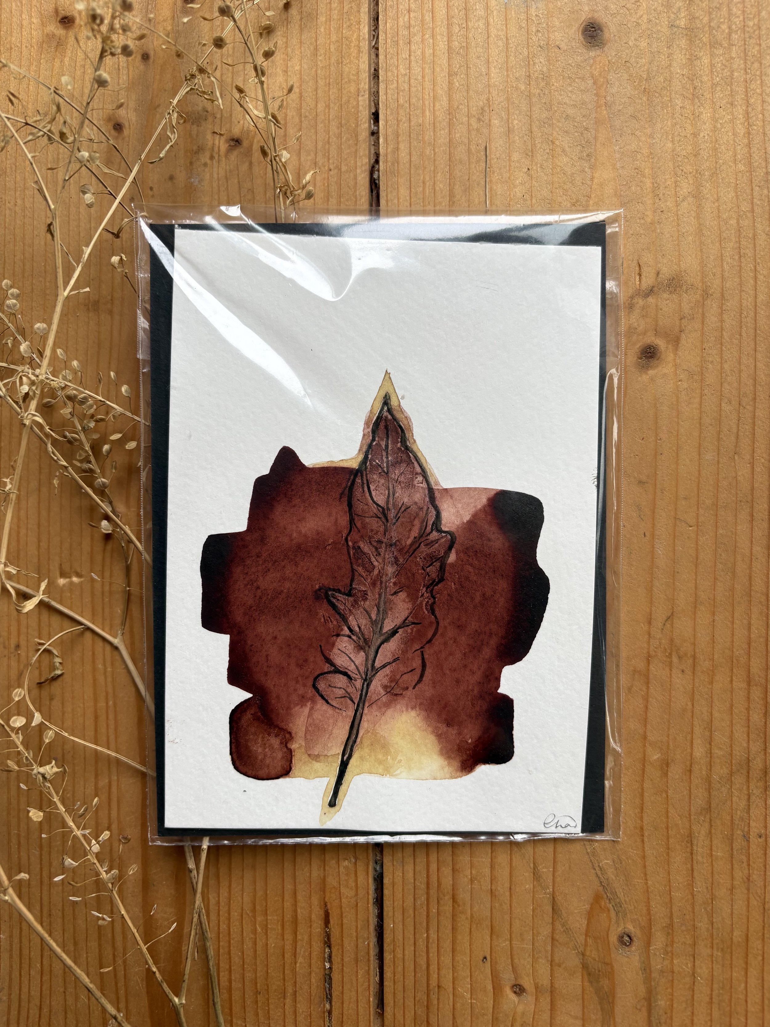 Tomato Leaf