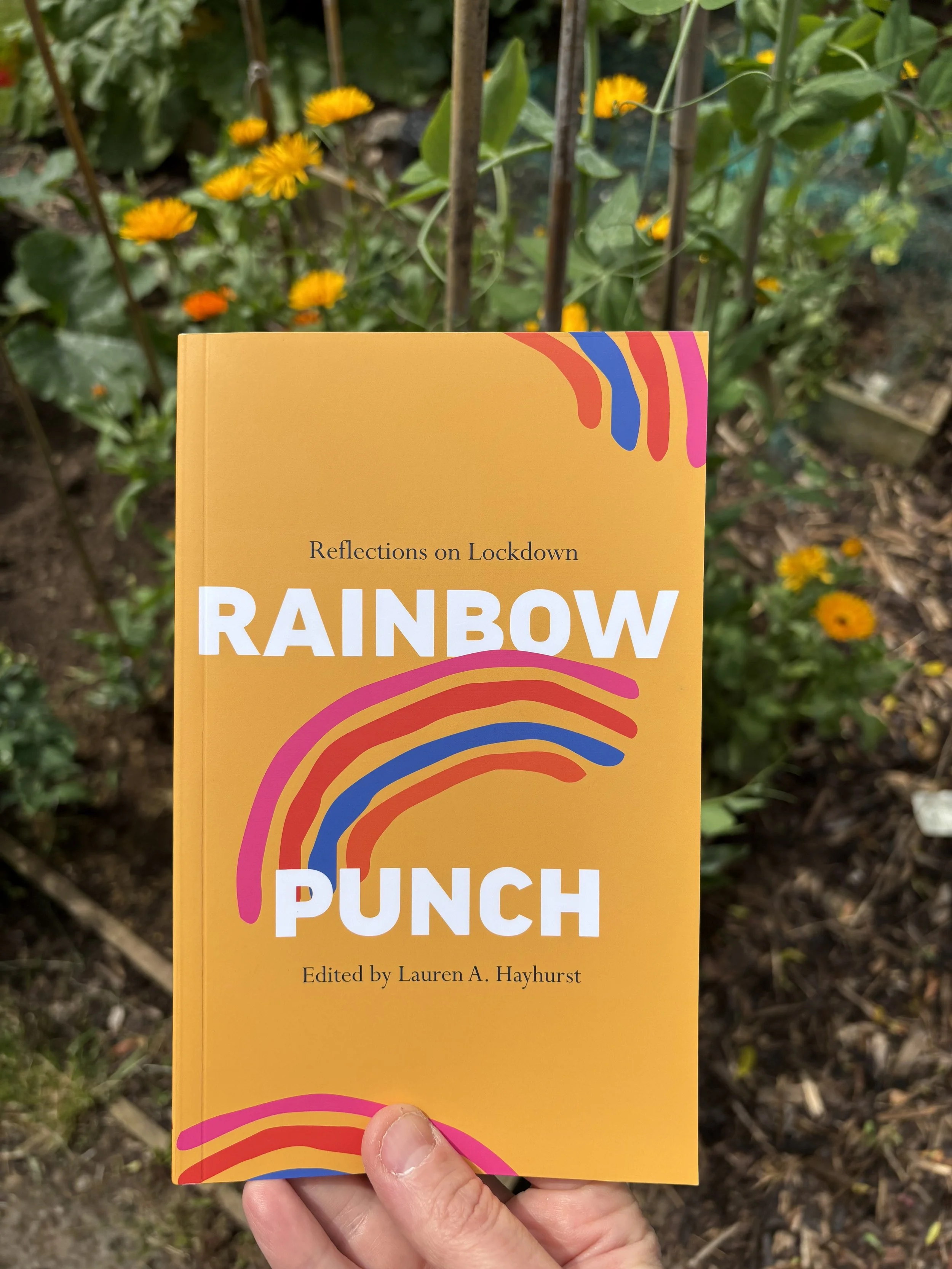 Rainbow Punch Book Cover