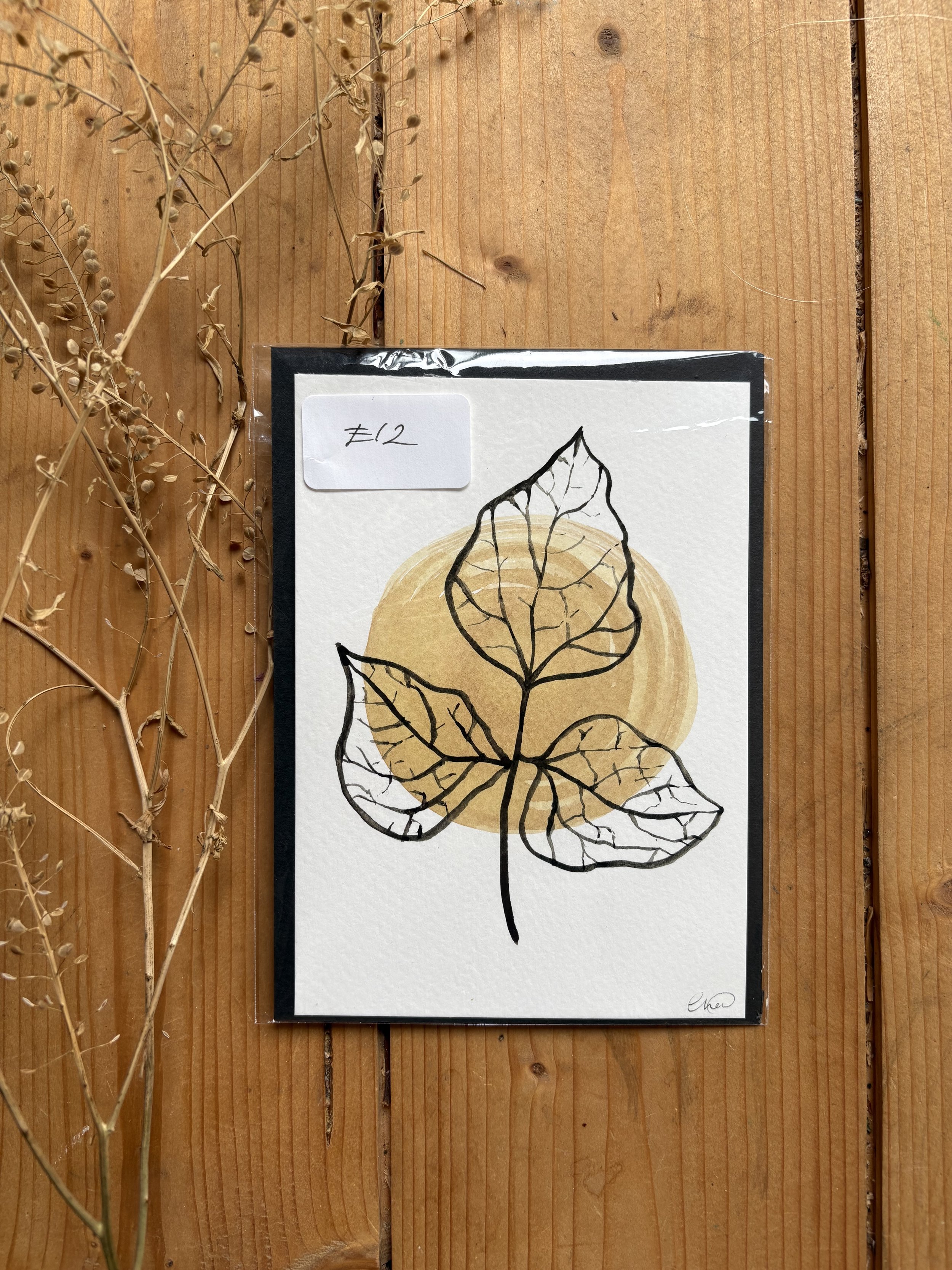 Green Bean Leaves
