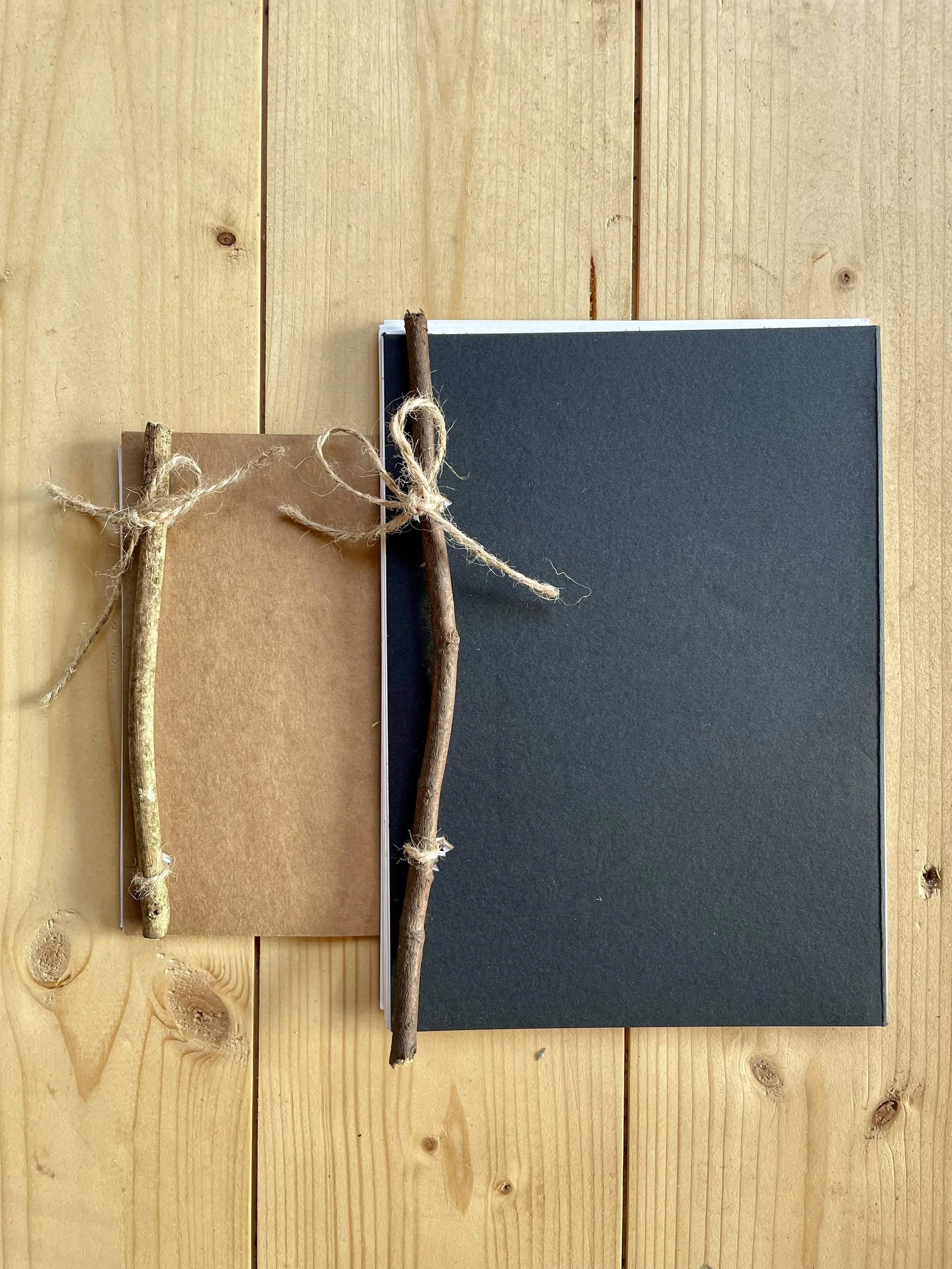 Winter Forest Bathing and Art Workshop