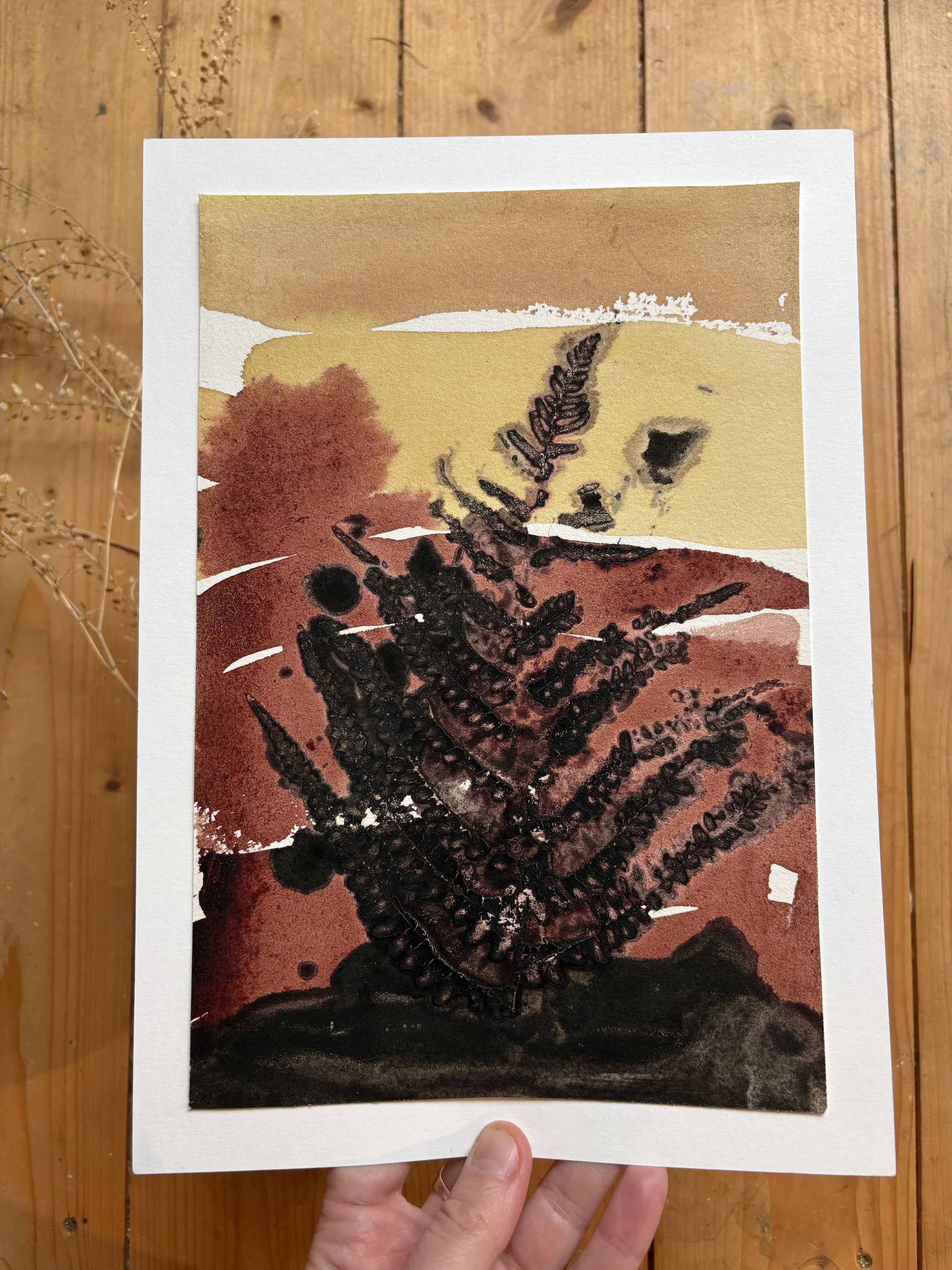 IMG_0269.jpeg