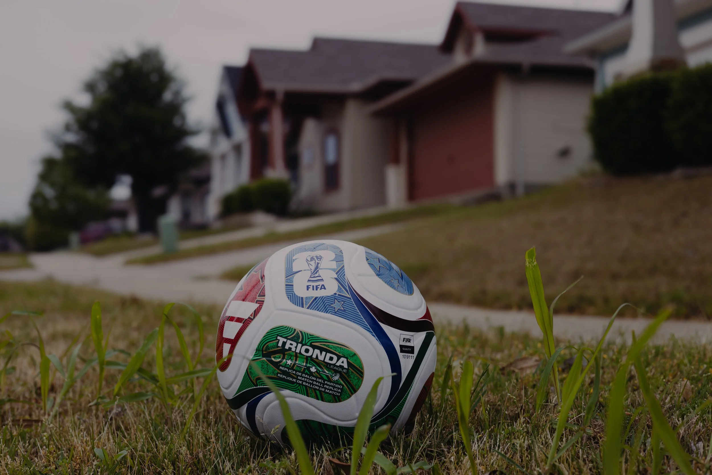 Trionda soccer ball in lawn in front of houses