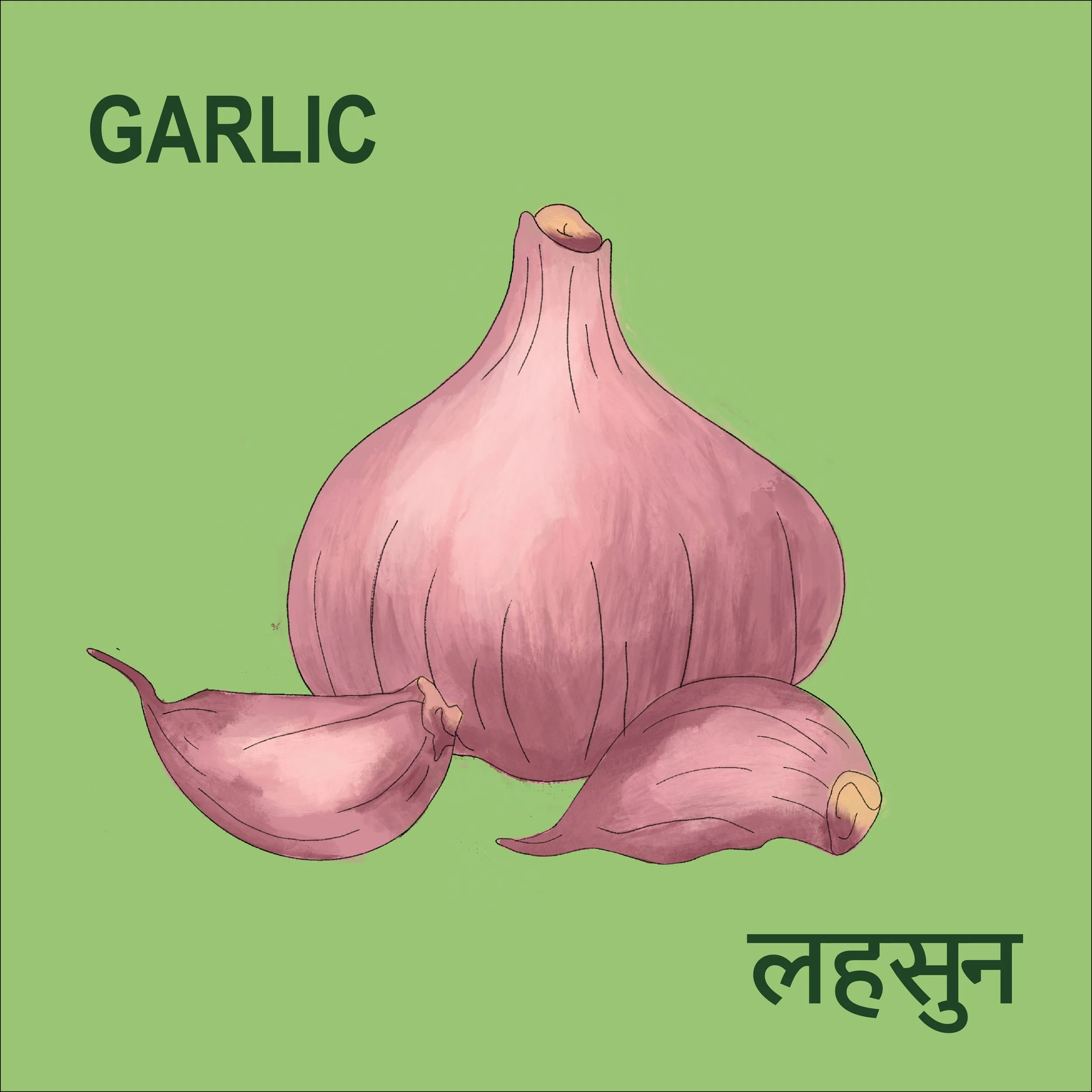 South Asian Pantry Essentials