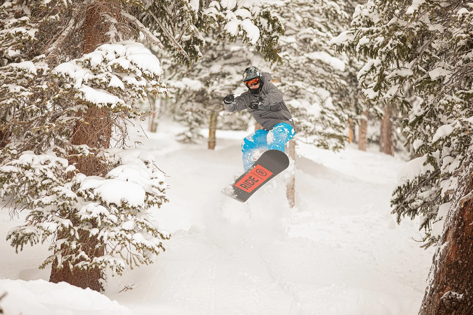 _W6A6308-Edit_websize (1).jpg