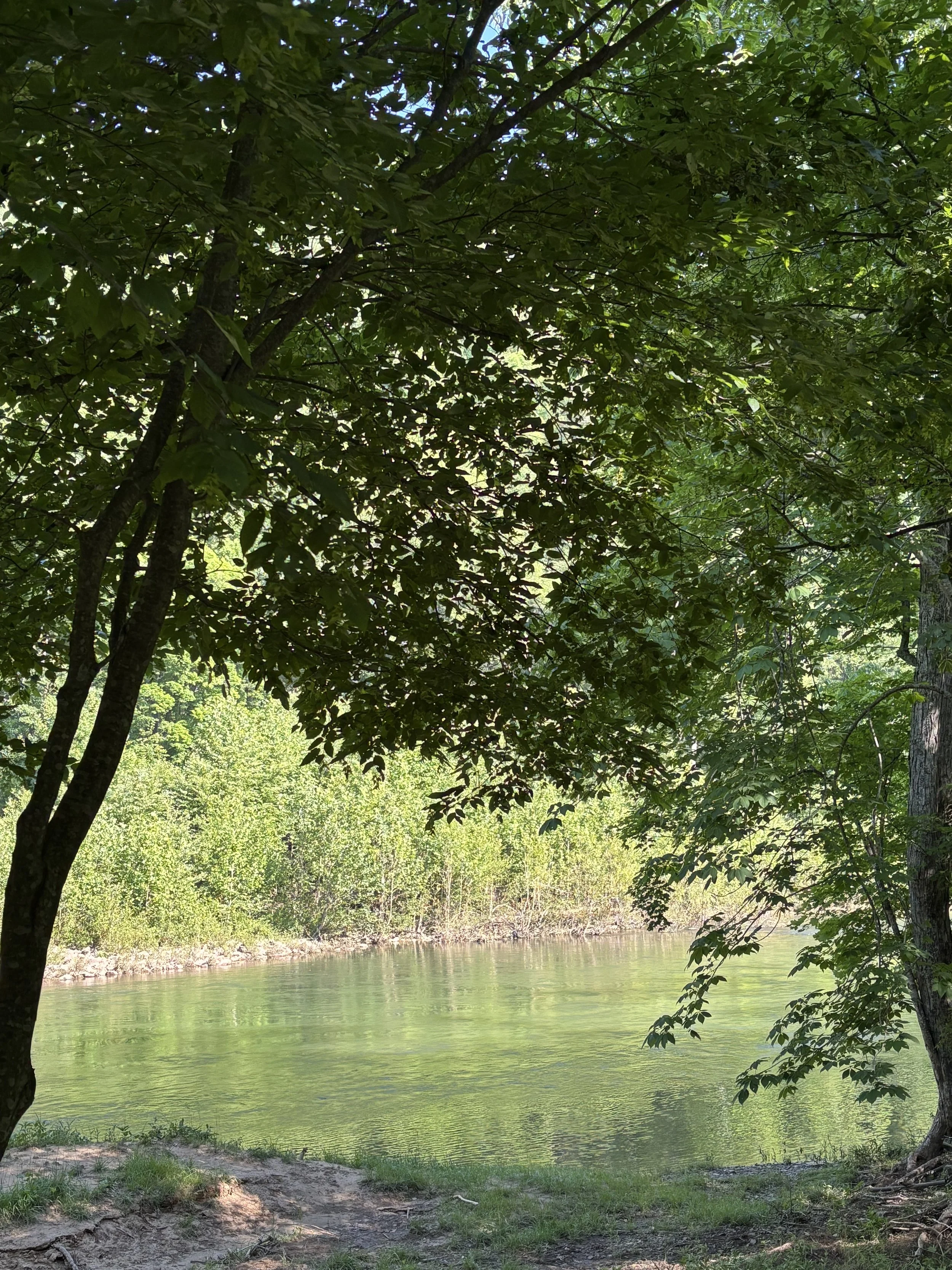 Quiet Moments at the River