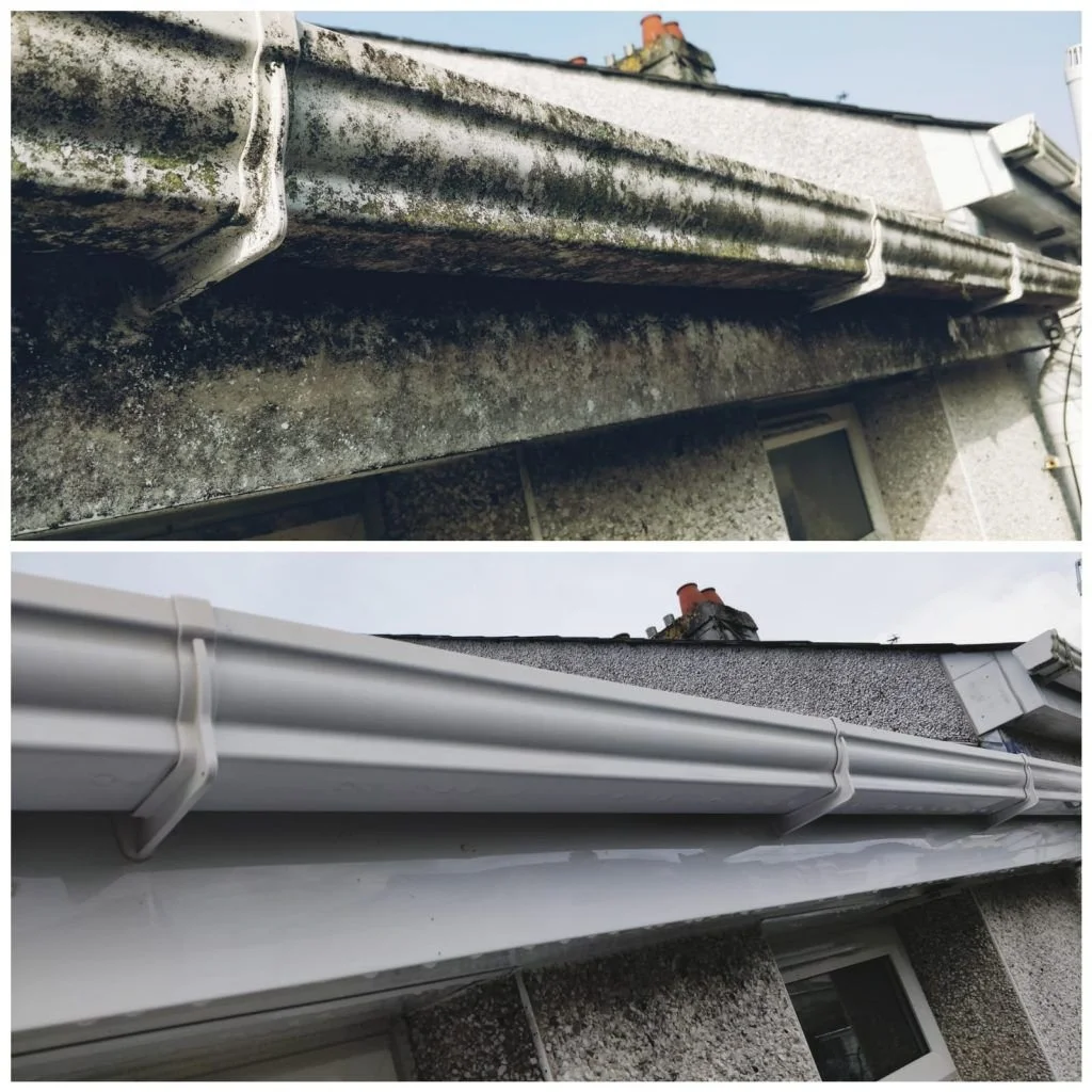 WhatsApp Image 2026-03-26 at 18.57.07 (5).jpeg