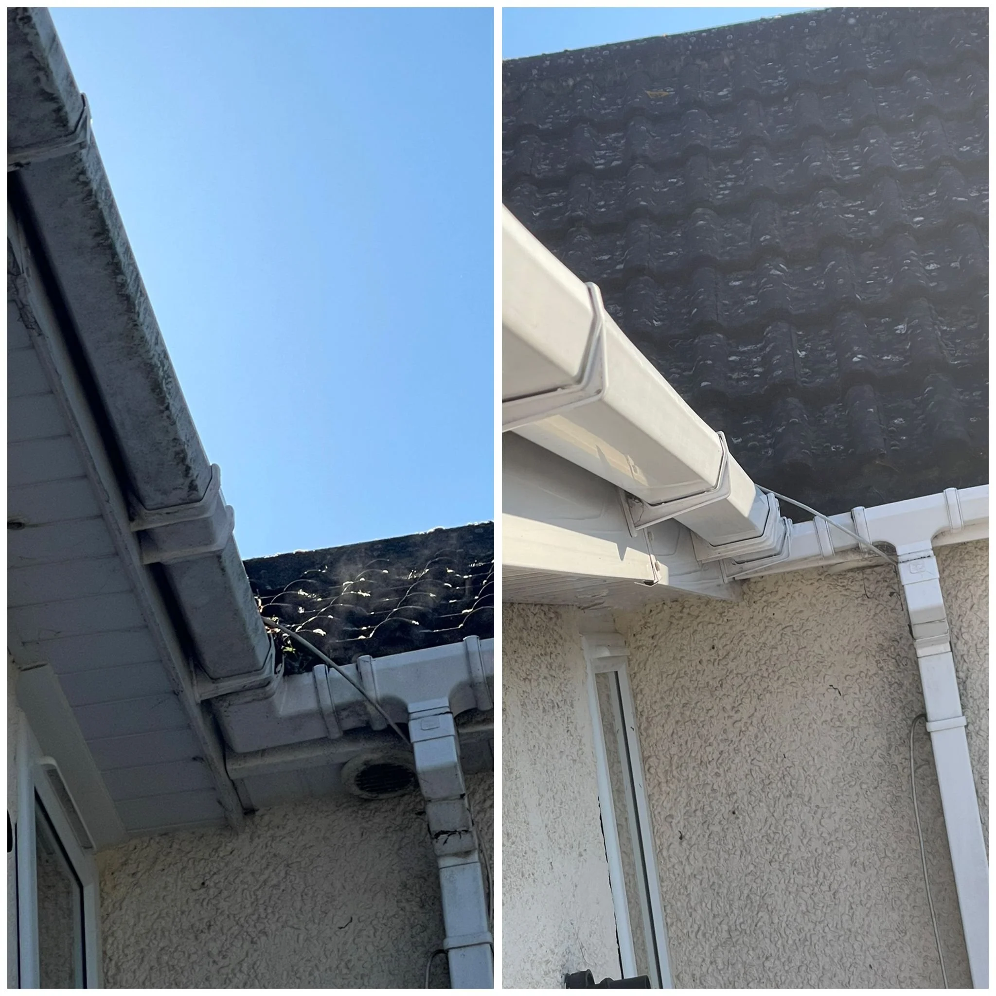 WhatsApp Image 2026-03-26 at 18.57.07 (1).jpeg