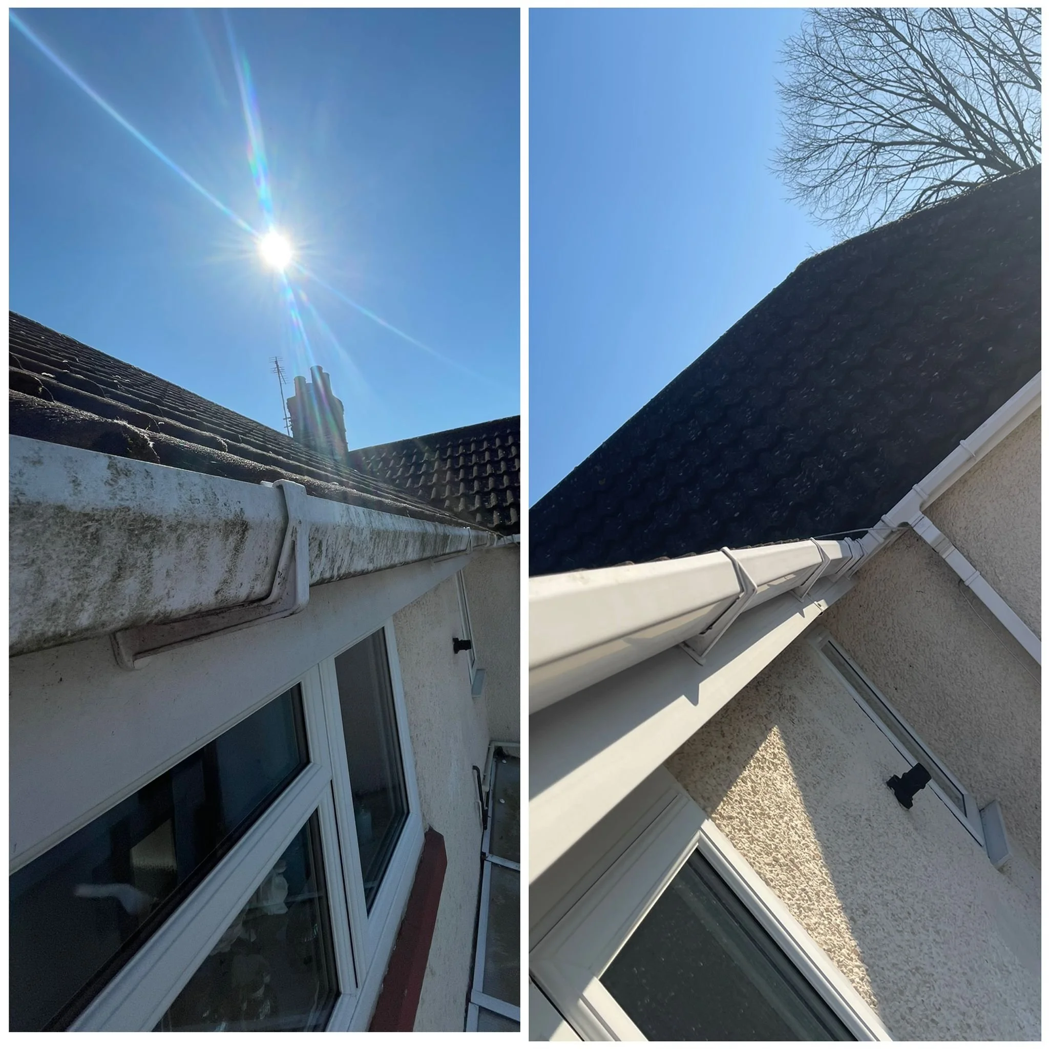 WhatsApp Image 2026-03-26 at 18.57.07.jpeg