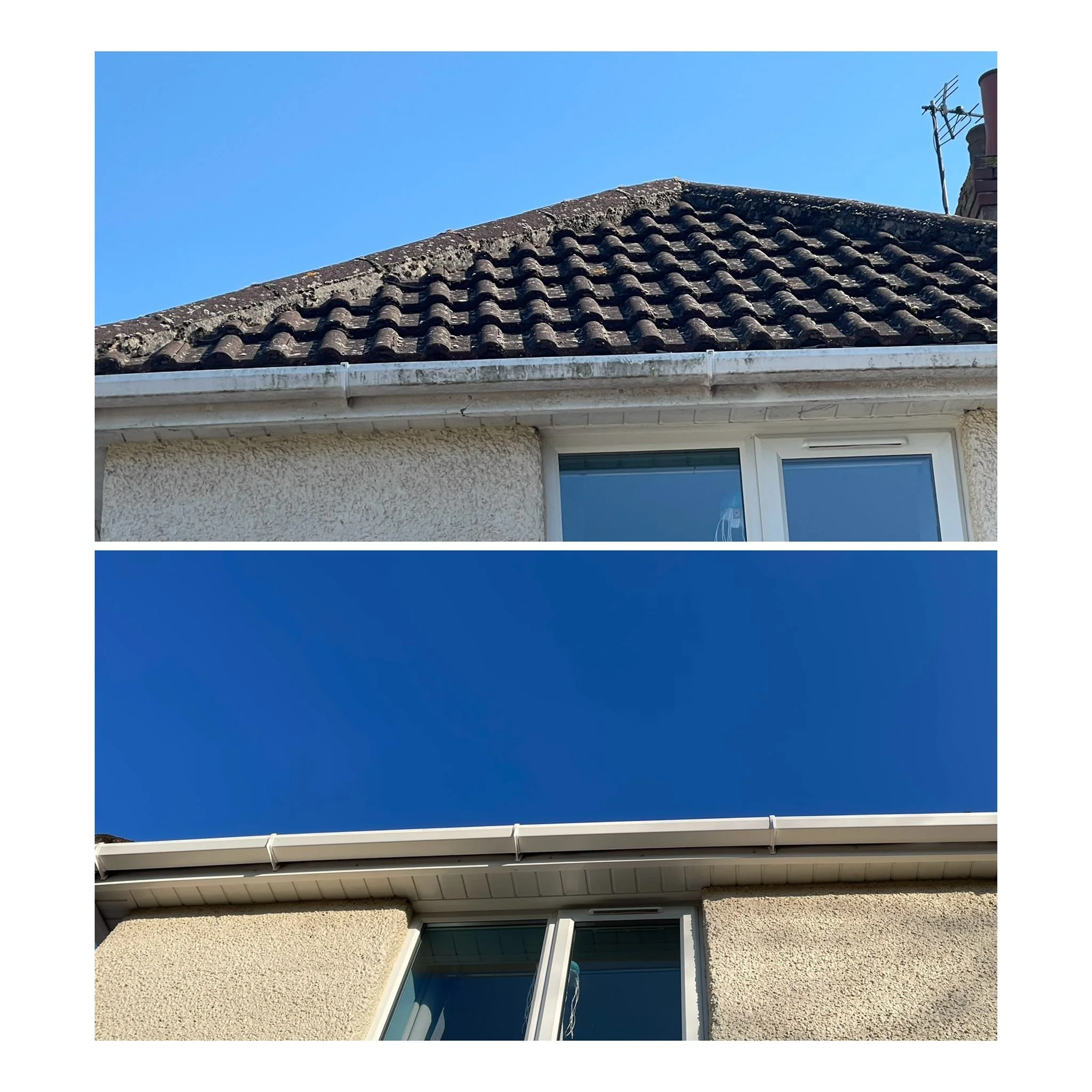 WhatsApp Image 2026-03-26 at 18.57.07 (3).jpeg