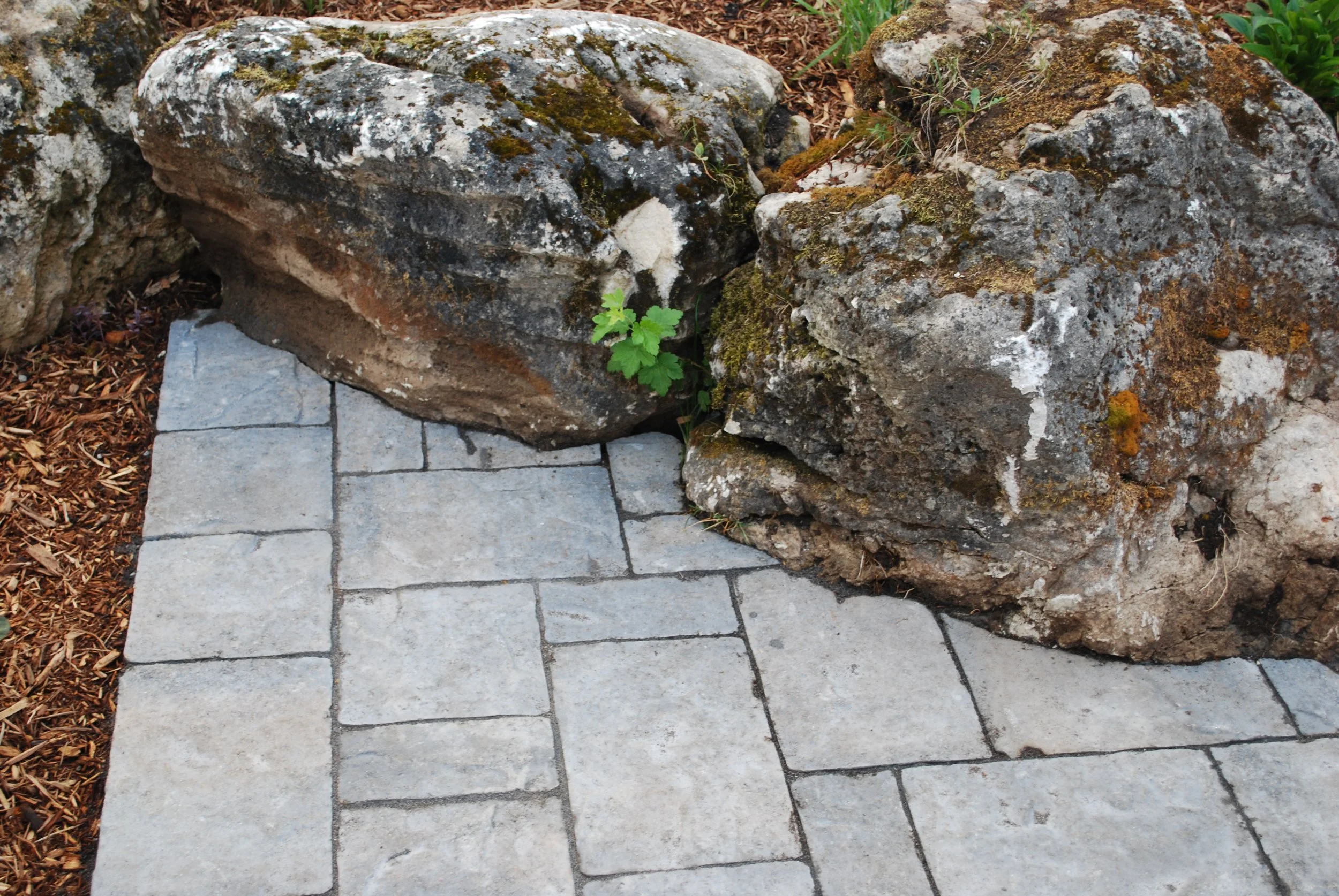 Mossy limestone boulders carved in to the patio