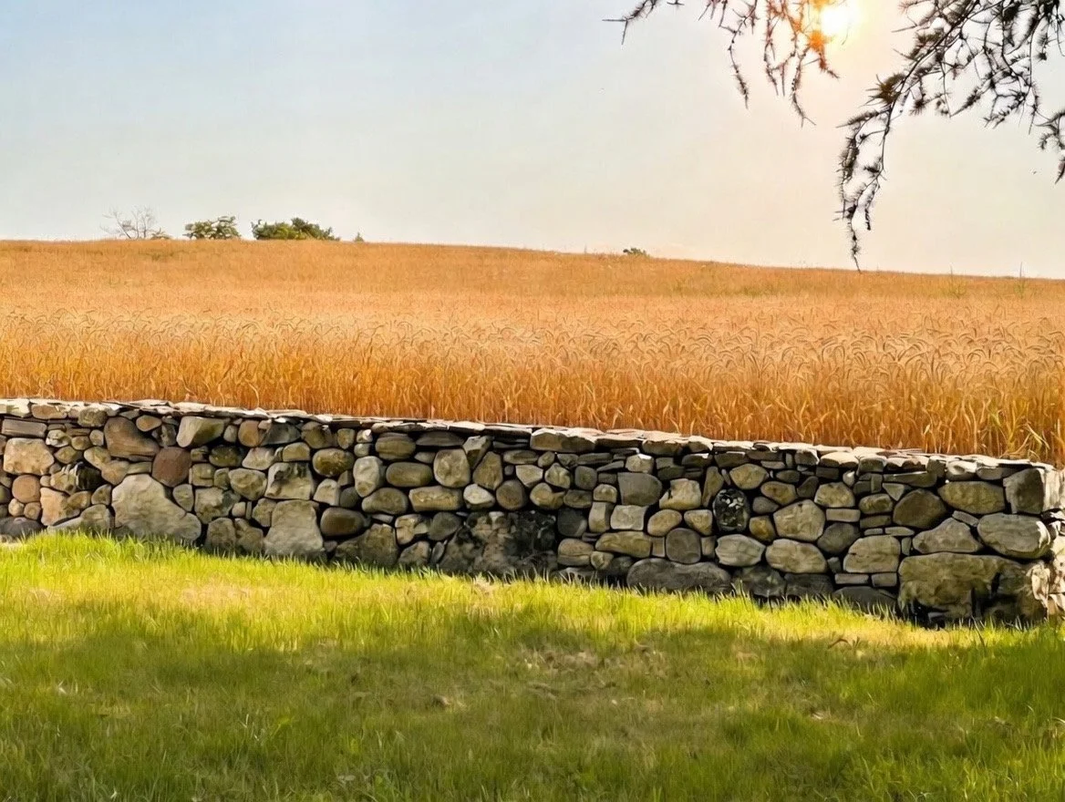 Reclaimed stone from a barn foundation bordering the lawn from the field in late summer