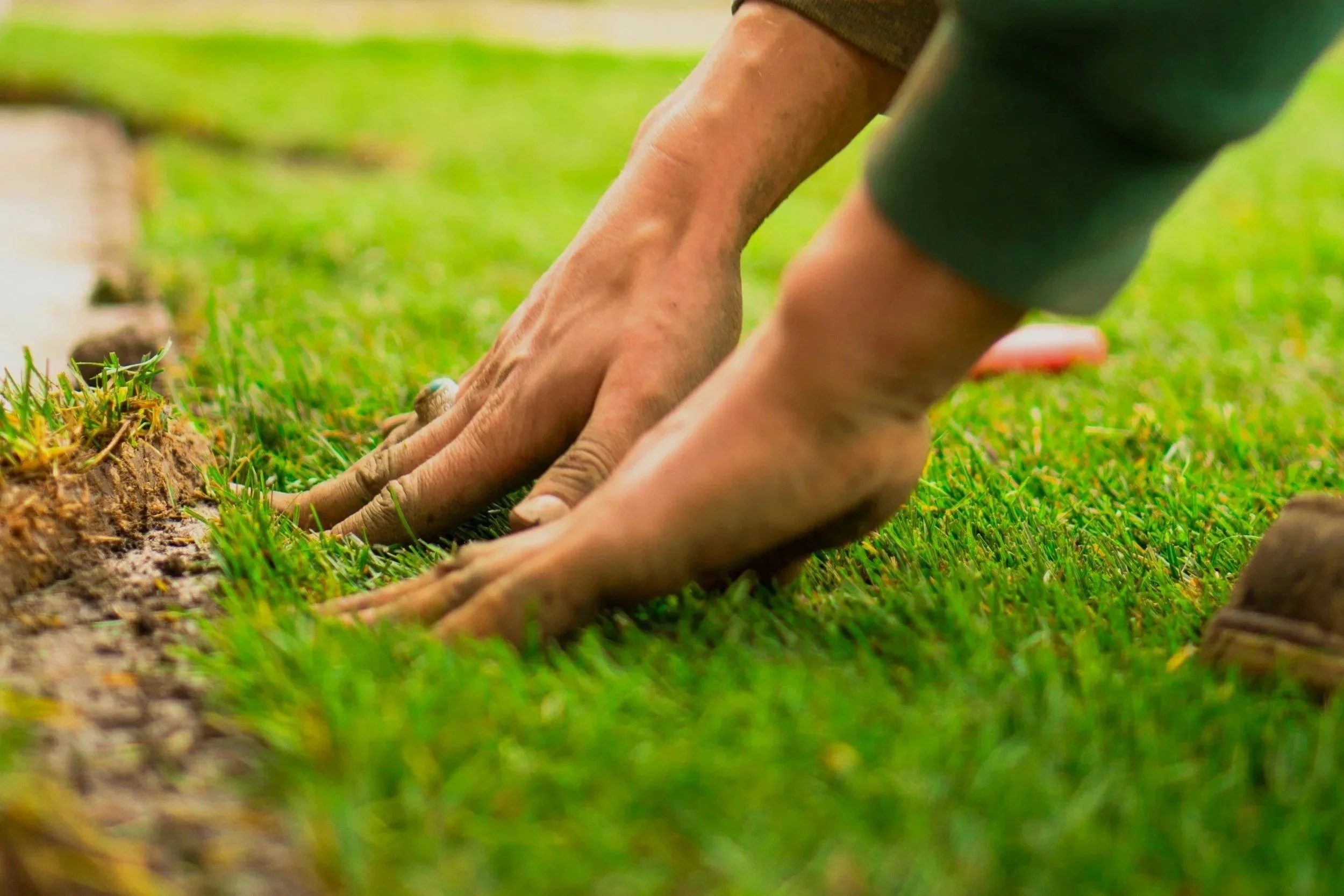 Hand working in the soil while preparing a lawn for healthy grass growth and landscaping.