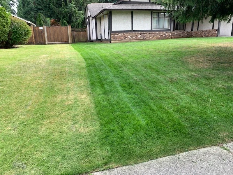 Healthy, professionally maintained lawn demonstrating years of lawn care expertise.