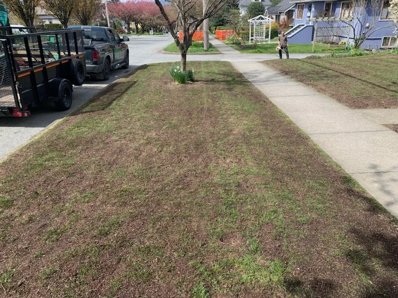 Lawn with evenly applied top dressing to enhance soil health and encourage lush grass growth.