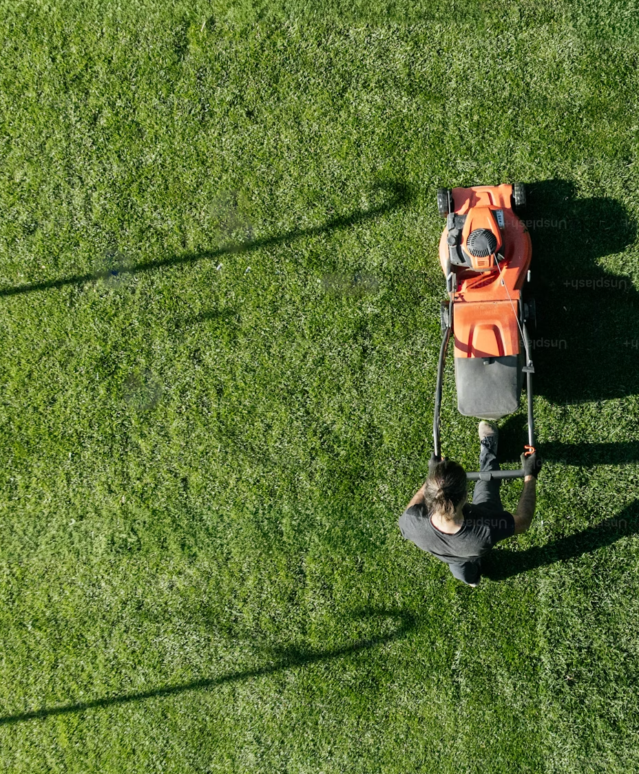 Overhead view of a person mowing a lawn, creating a clean, healthy, and professionally maintained yard.