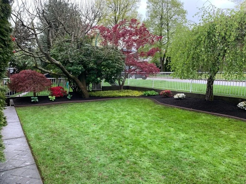 Well-maintained green lawn with a neat and healthy appearance after professional lawn care.