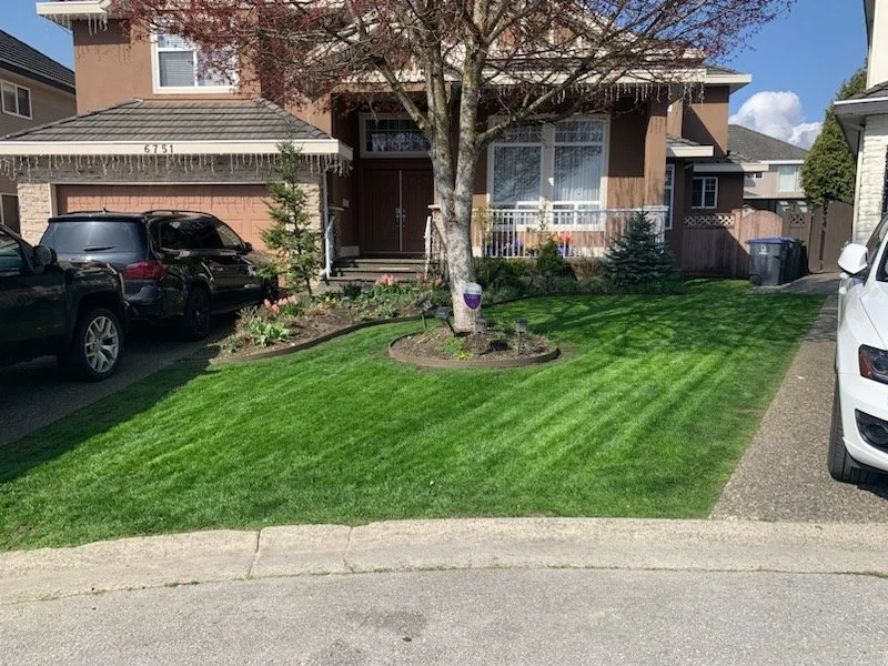 Custom blended fertilizer being professionally applied to a lawn for healthy growth and long-lasting results.