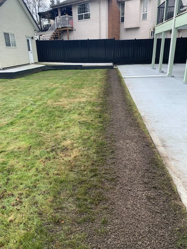 Sunken lawn edge carefully levelled to create a smooth, even, and professionally finished landscape.