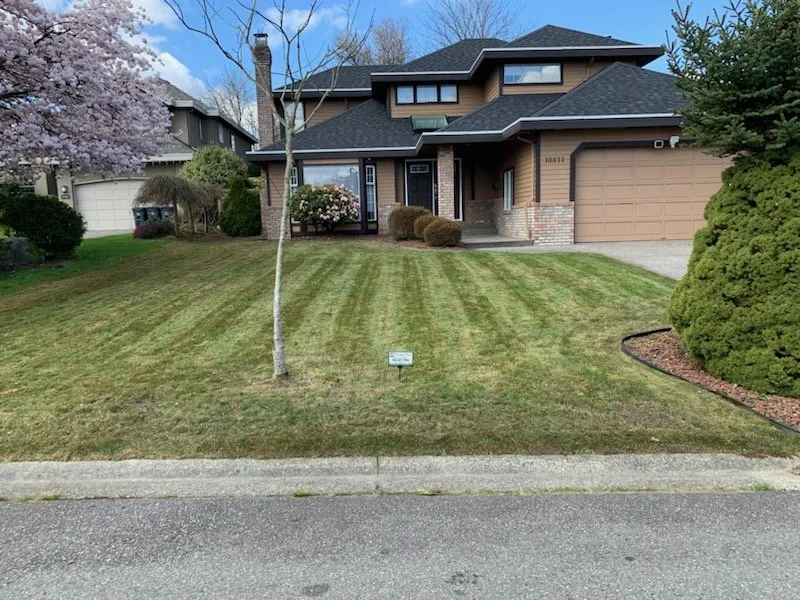 Beautifully groomed lawn after a power rake and spring lawn care program, showing healthy and even grass.