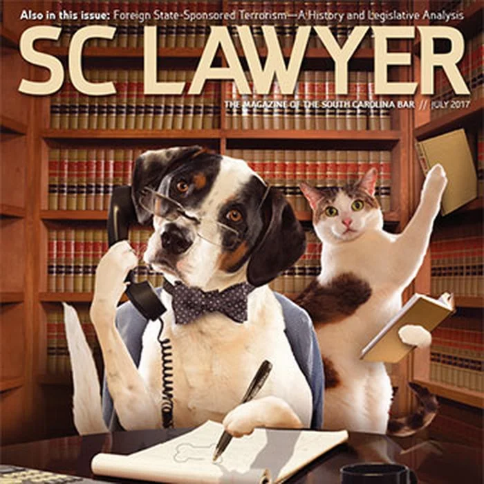 SC Lawyer Magazine: What to Expect when Expecting Marital Litigation
