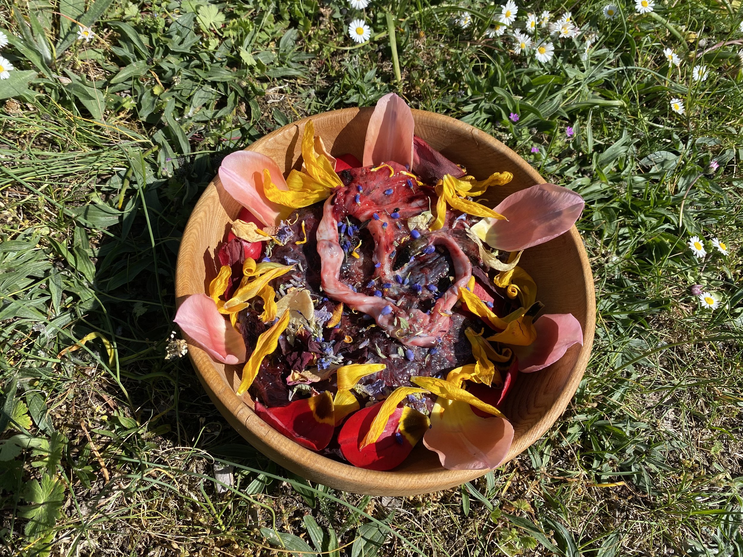 En träskål med moderkakan i och blommor