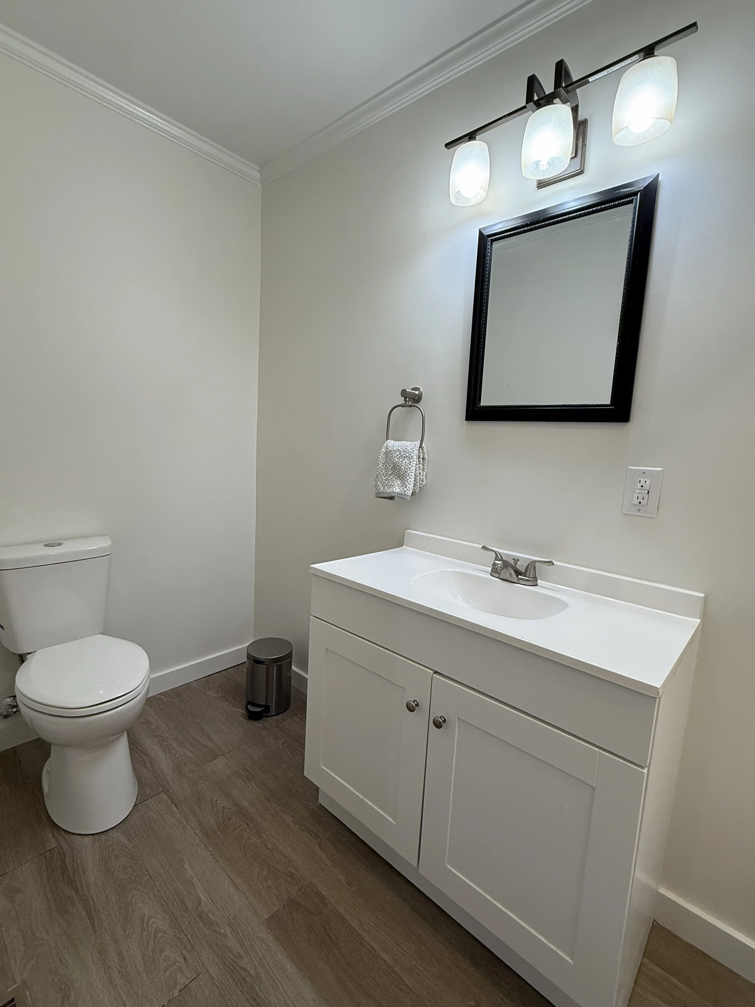 Master Bathroom - Sink and Toilet.jpg