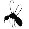 mosquito