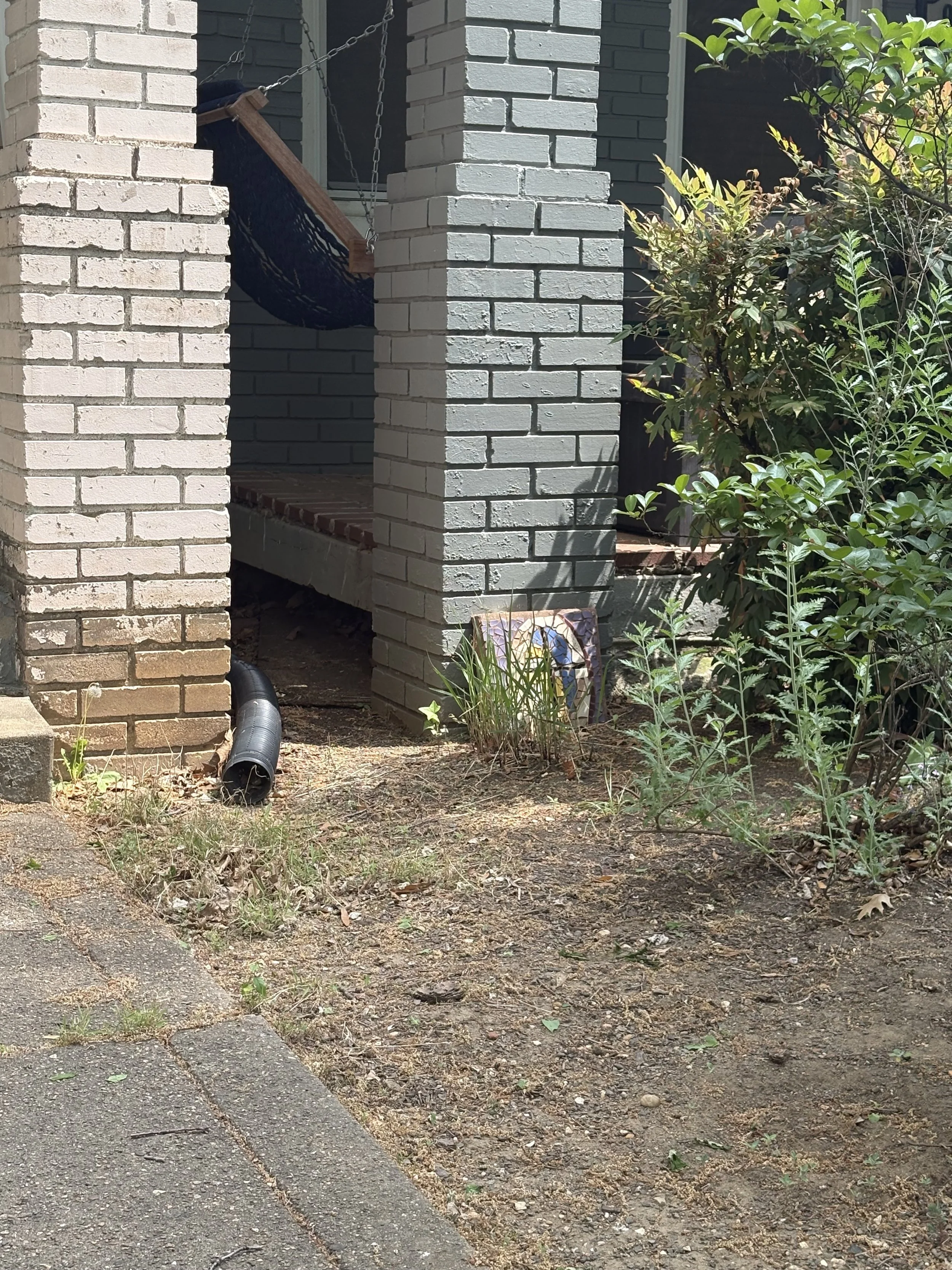 That shady damp area between porches is a perfect place to try a trap. Just be careful if you often sit right above it!