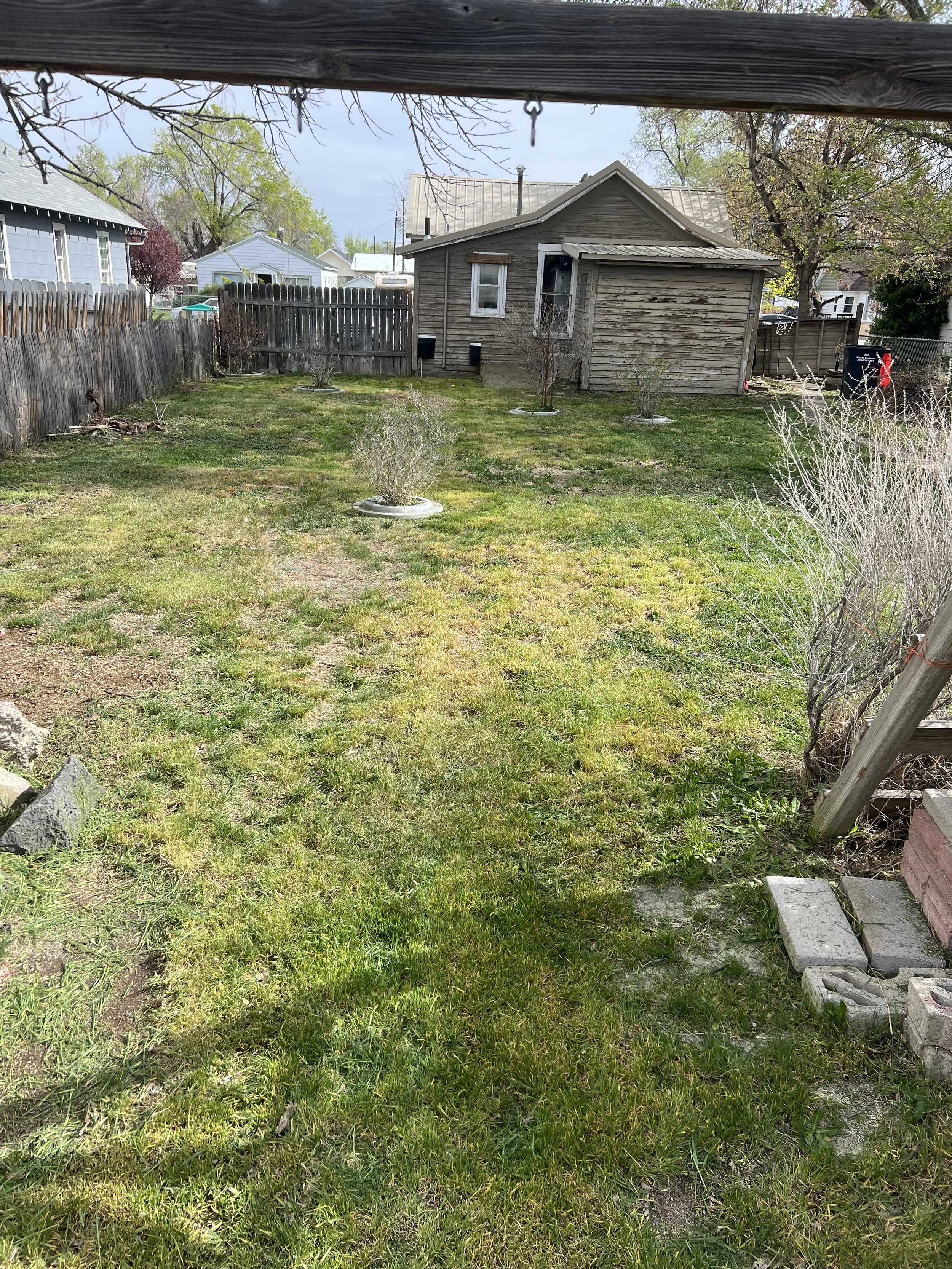 Backyard with grass, small trees, a weathered wooden shed, and neighboring houses visible in the background.