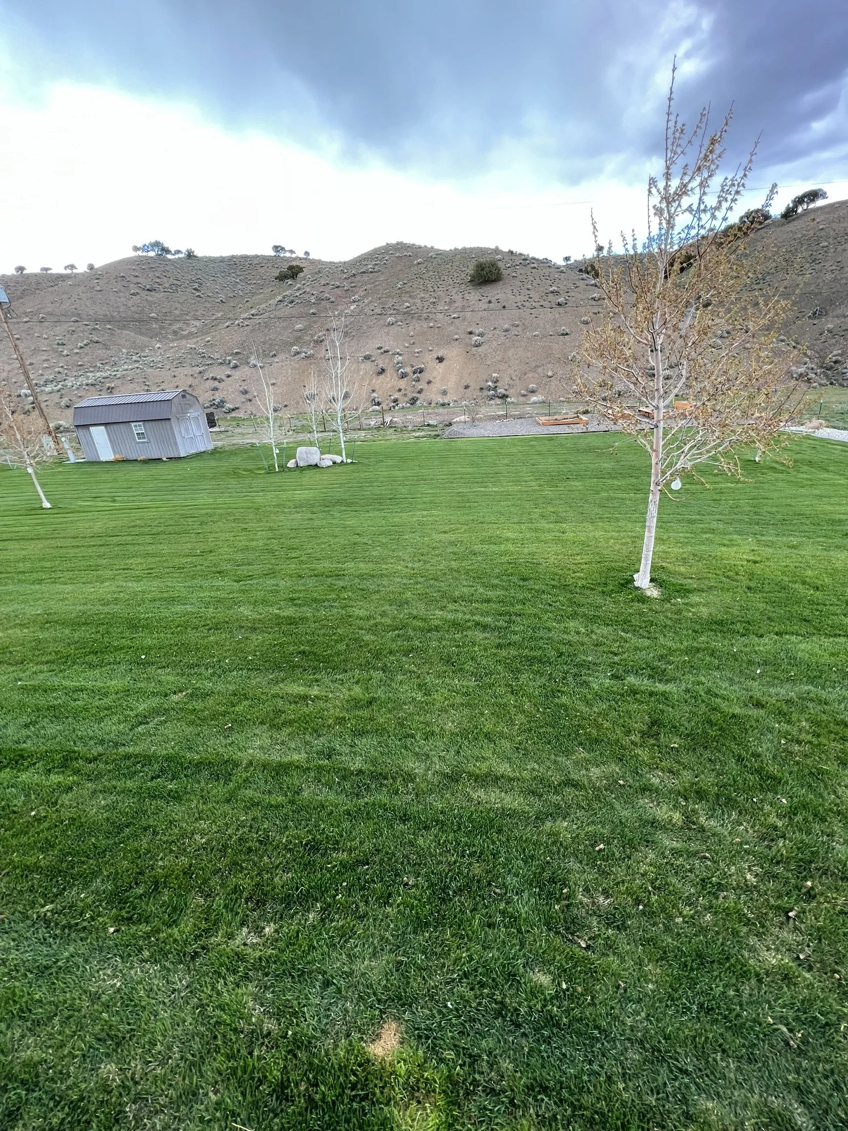 A lush green lawn with a small gray shed on the left, a few leafless trees, and a hill in the background with sparse vegetation under a partly cloudy sky.