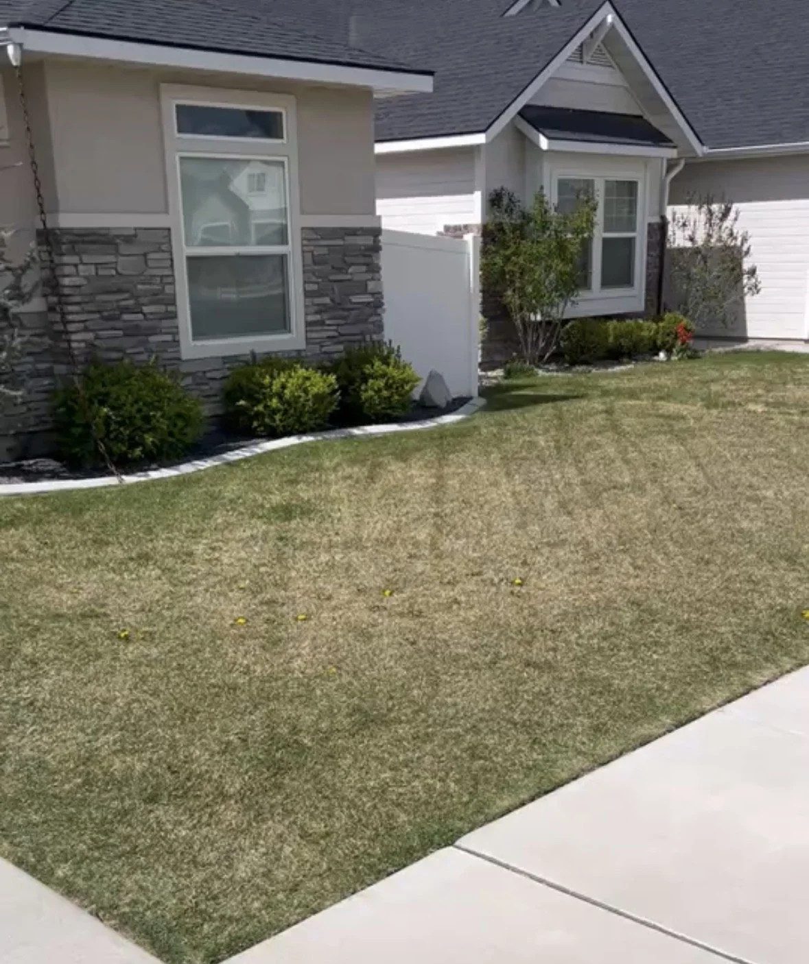 A front yard with a well-maintained lawn, small bushes, and a white fence between two houses with gray roofs and siding.