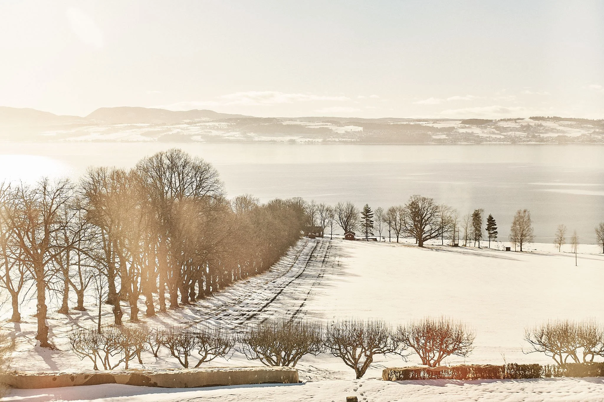 Snow-covered fields with leafless trees and a body of water in the background, under a pale sky.