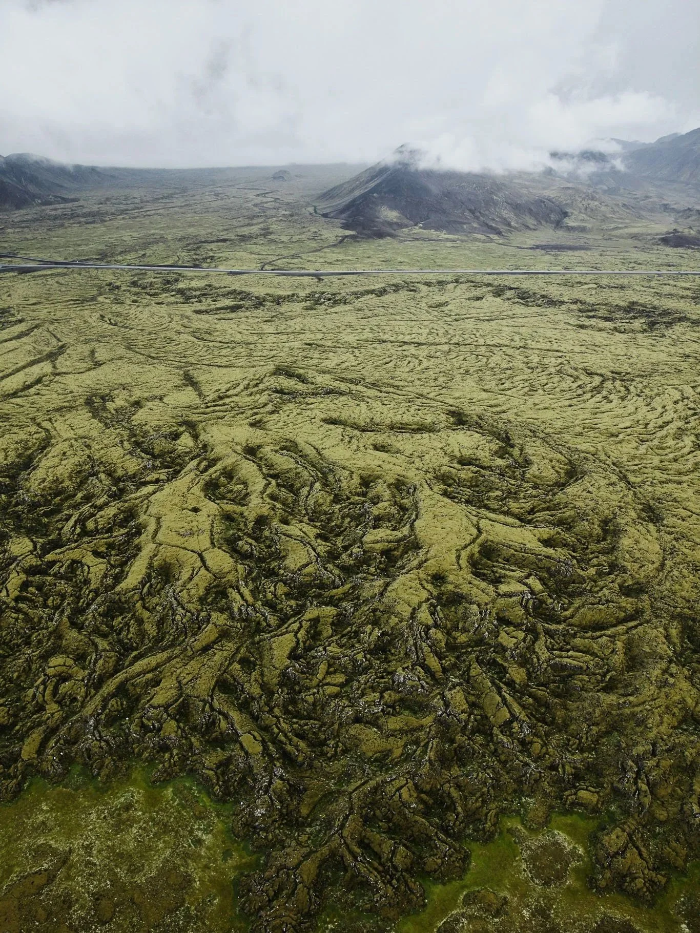 A landscape with moss-covered volcanic lava fields, mountains in the background, and cloudy sky.