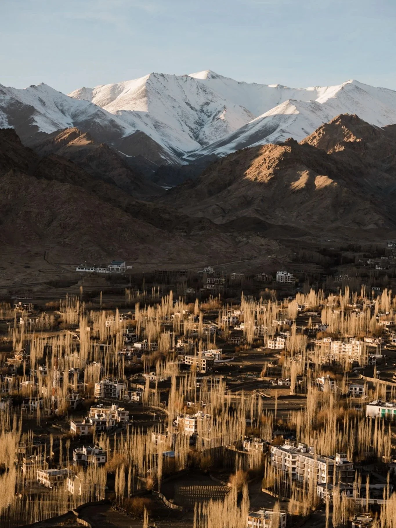 A landscape view of a town with houses and tall trees in the foreground, and snow-capped mountains in the background.