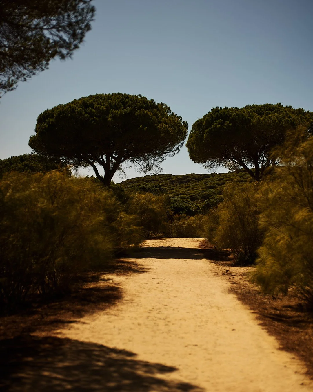 oivindhaug_CNT_ LUZ_Sep 19 2023_1046_some.jpg