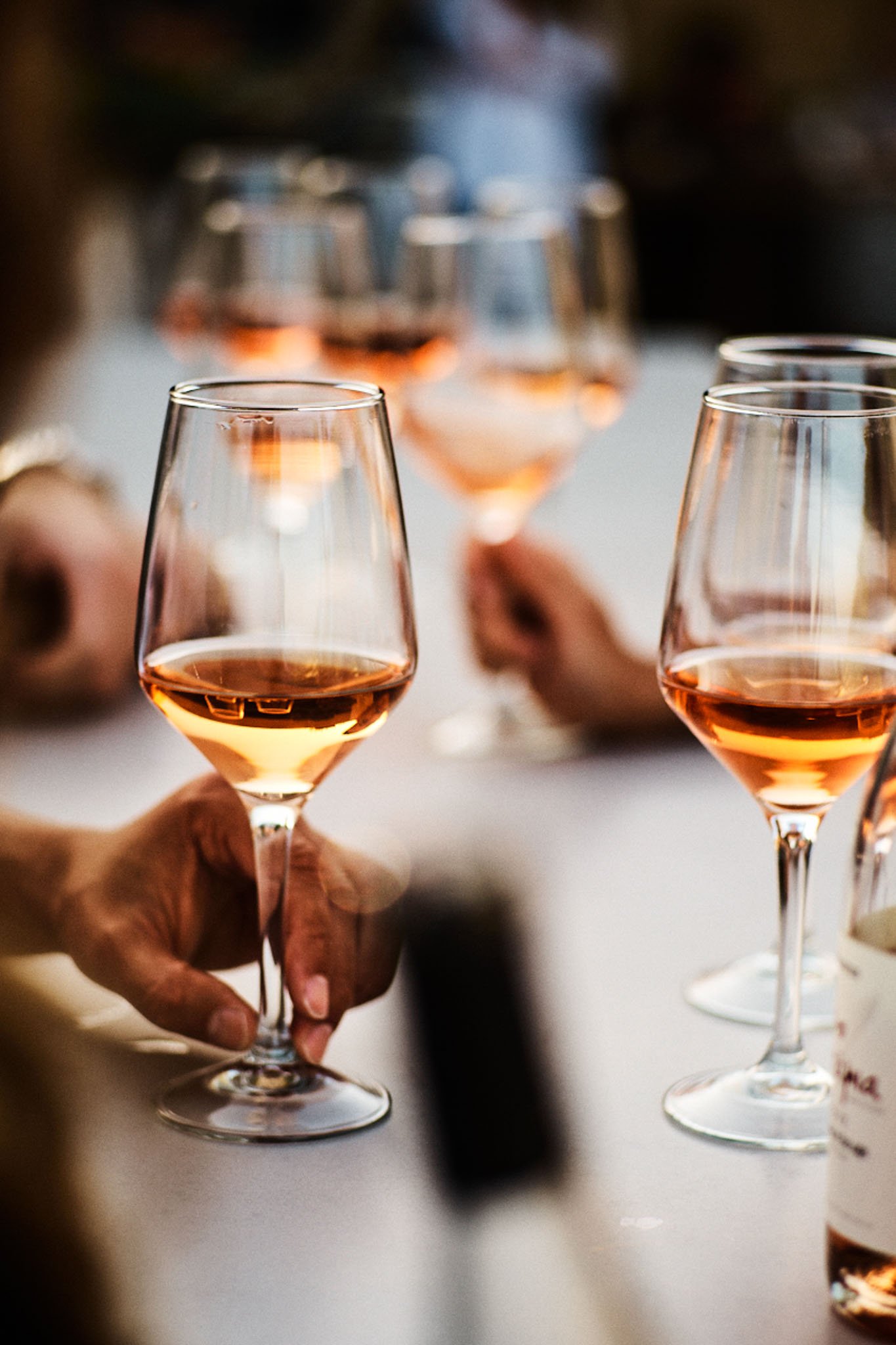 Several wine glasses filled with rosé wine, held by people's hands, at a social gathering or celebration.