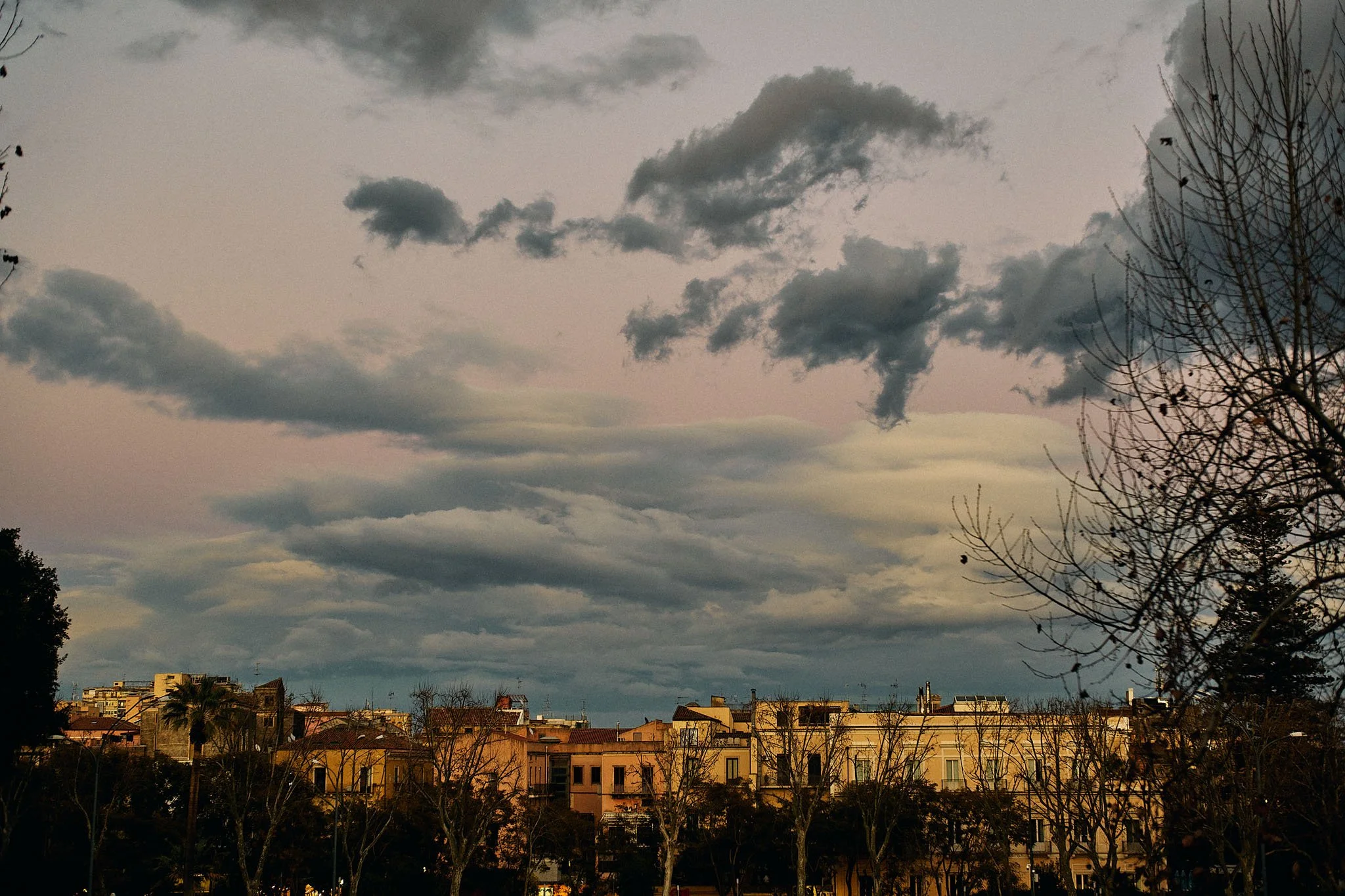 Overcast sky above a cityscape with leafless trees and buildings.