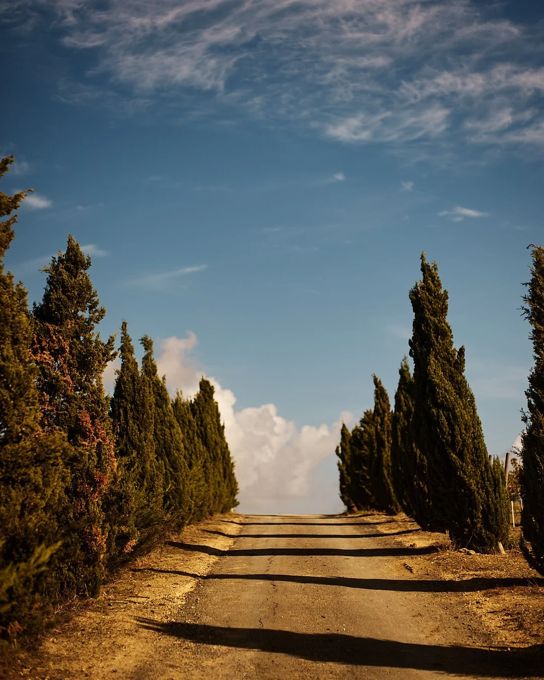 oivindhaug_CNT_ LUZ_Sep 18 2023_0492_some.jpg