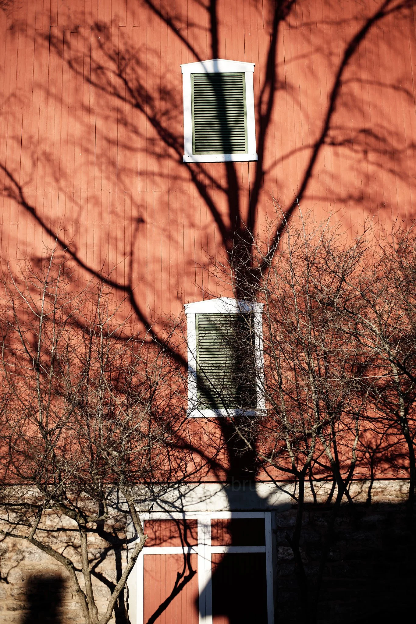Shadow of a leafless tree cast on a red building with three windows, one above the door and two smaller ones above each other, with white trim.