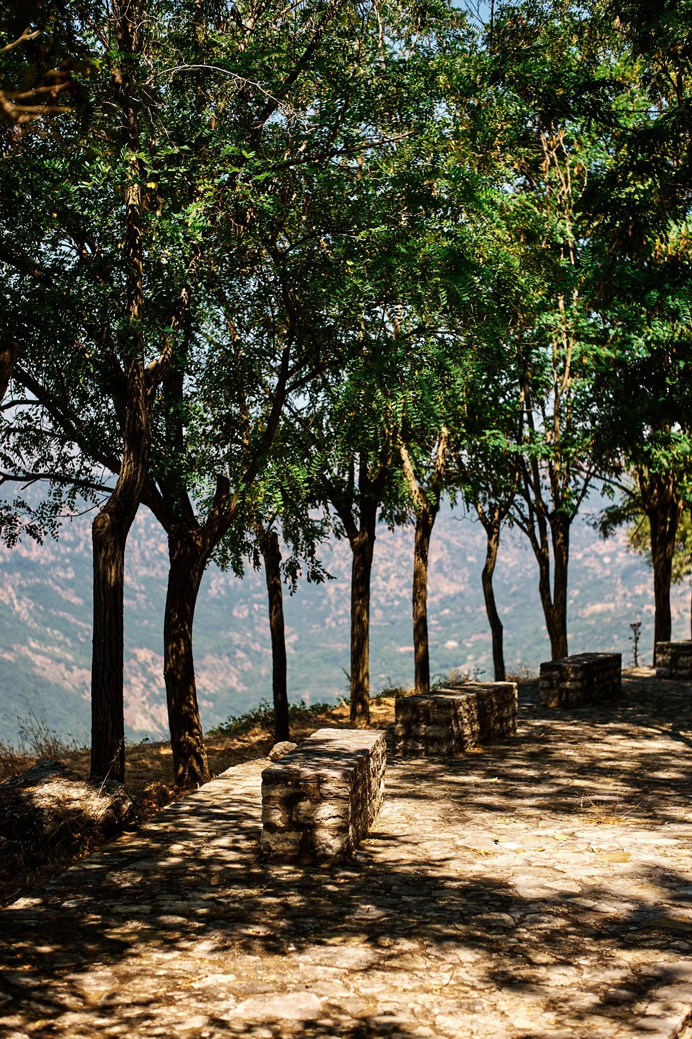 Oivind©Haug-Manna_Aug 22 2023_0281_web.jpg