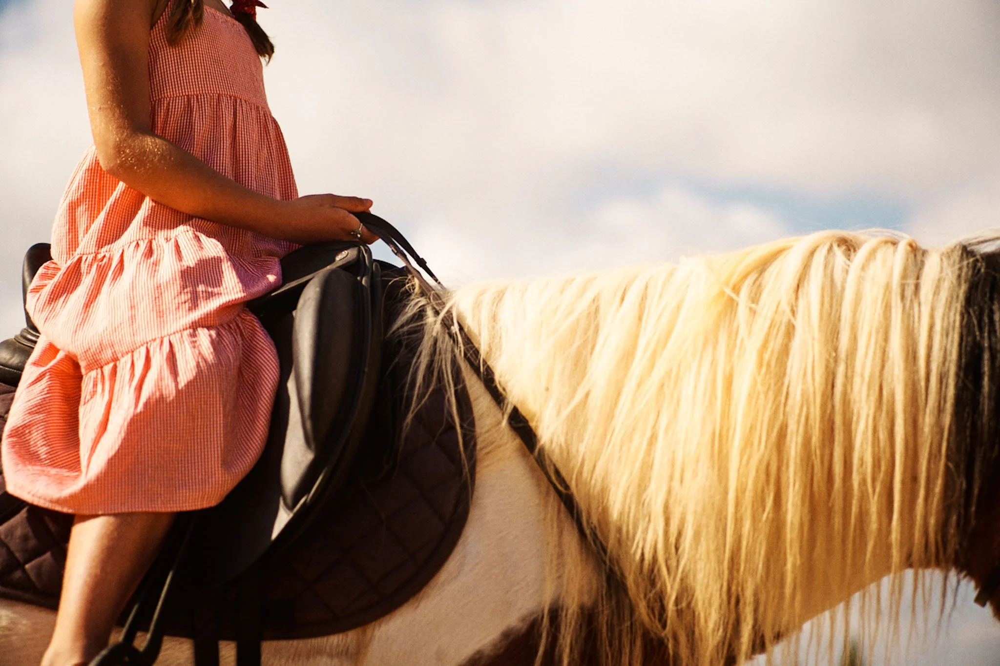 A girl in a pink striped dress sitting on a horseback with a long blonde mane, holding the reins against a cloudy sky background.