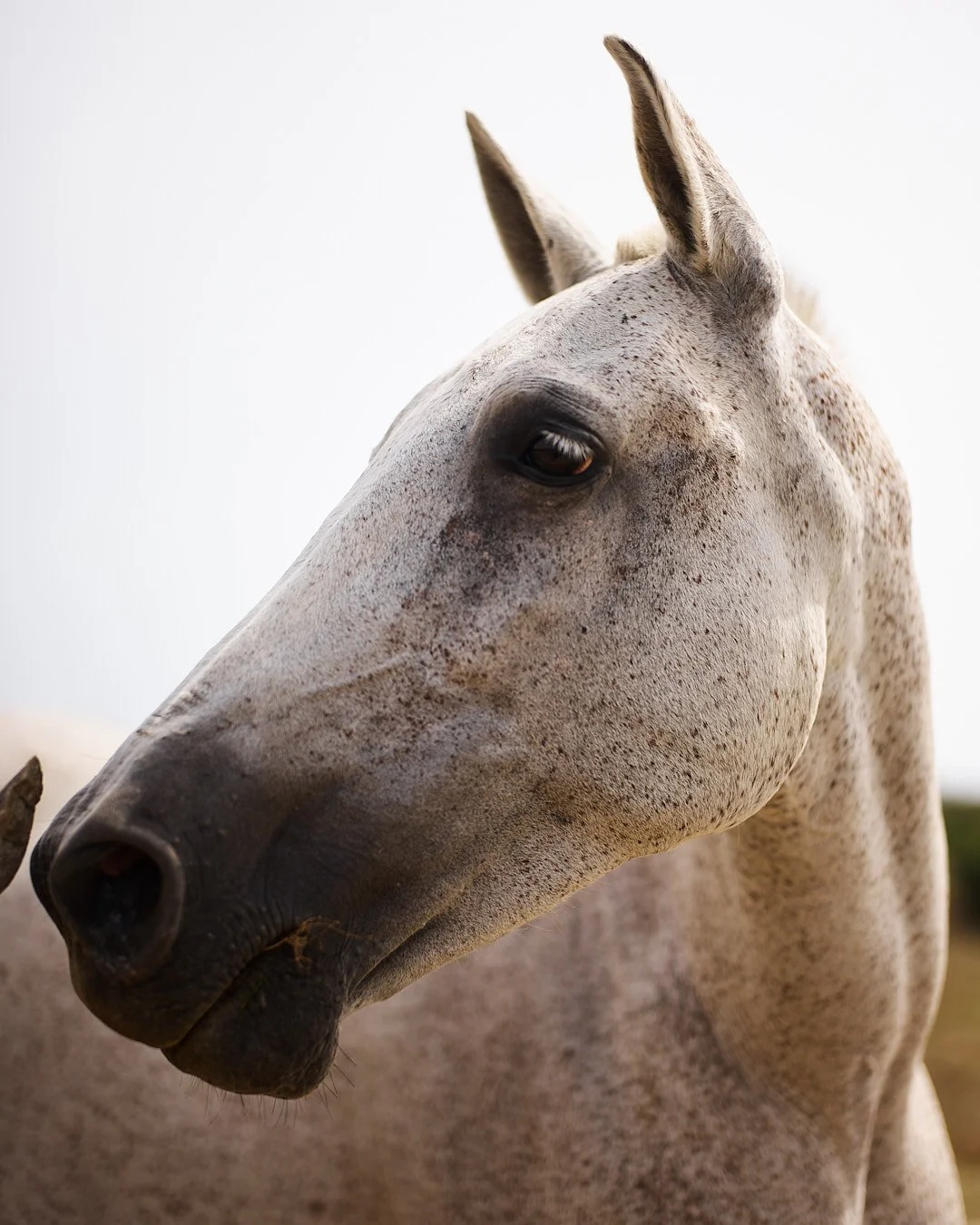 oivindhaug_CNT_ LUZ_Sep 22 2023_2941_some.jpg