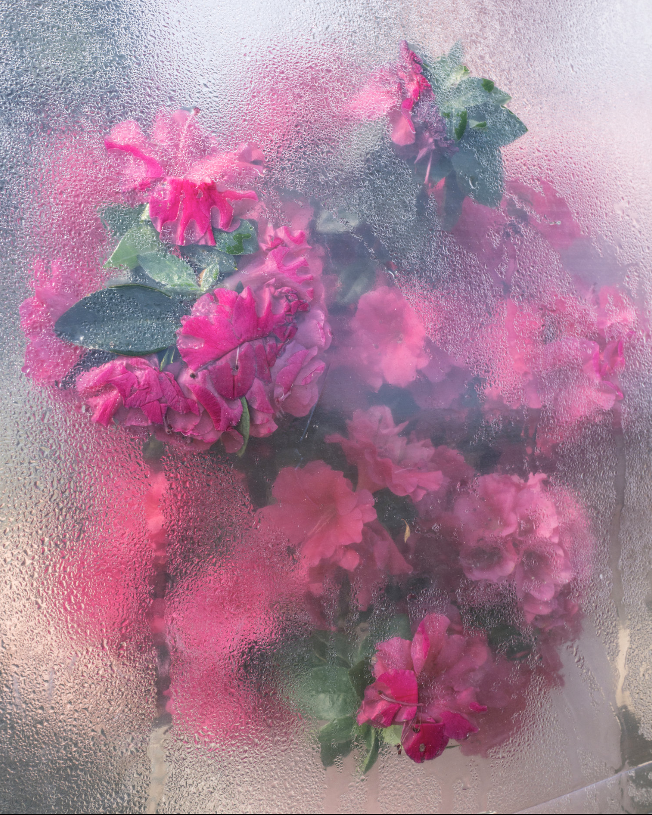 Screenshot 2025-02-17 at 8.23.46 PM.png